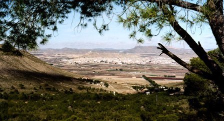 Jumilla